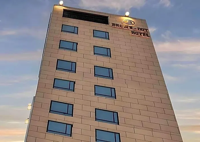 Hotel Brown-dot Hadan