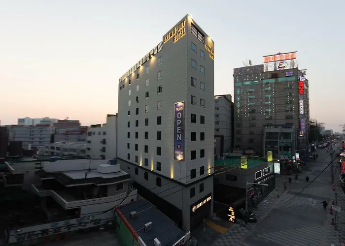 Brown-dot Hadan Busan